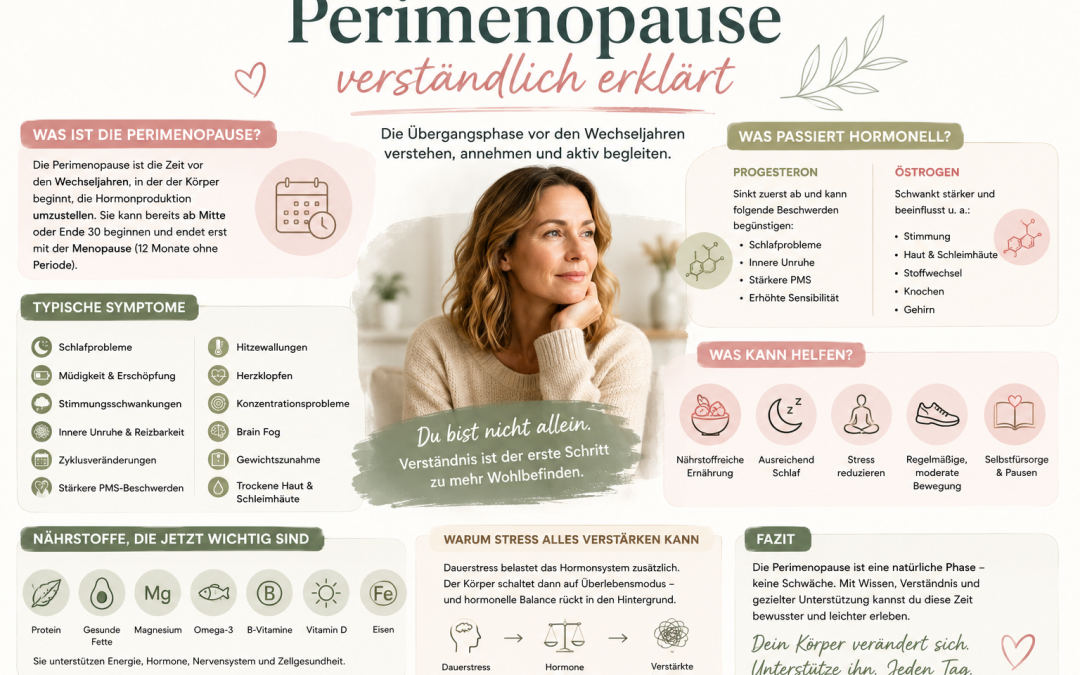 Perimenopause verständlich erklärt